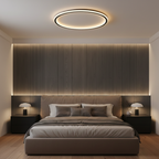 Aurora Halo Scandinavian LED Ceiling Light