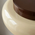 Lumiveil - Circular Flush-Mount Ceiling Lamp
